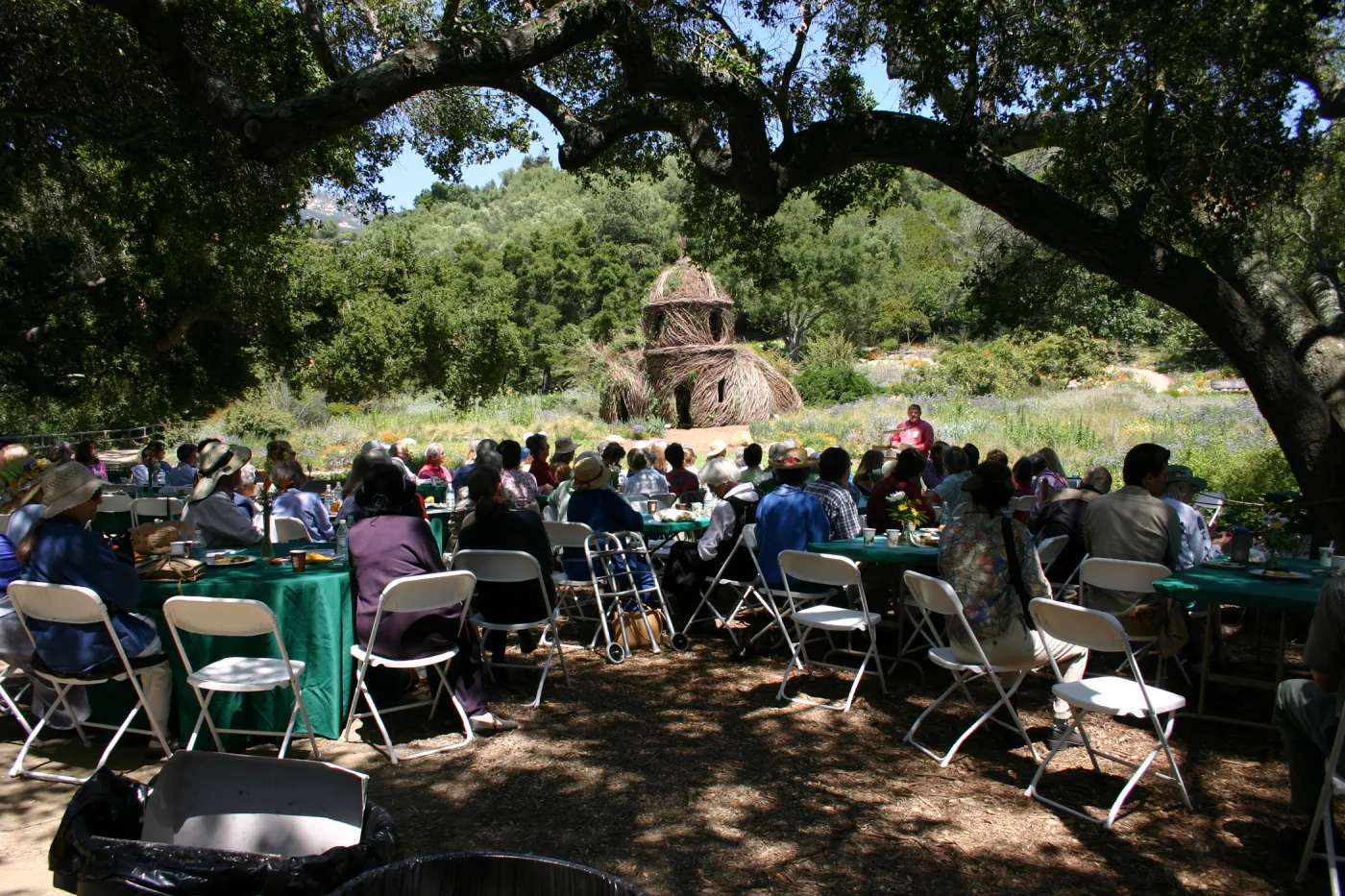 Volunteer Luncheon, 2005, under the oaks