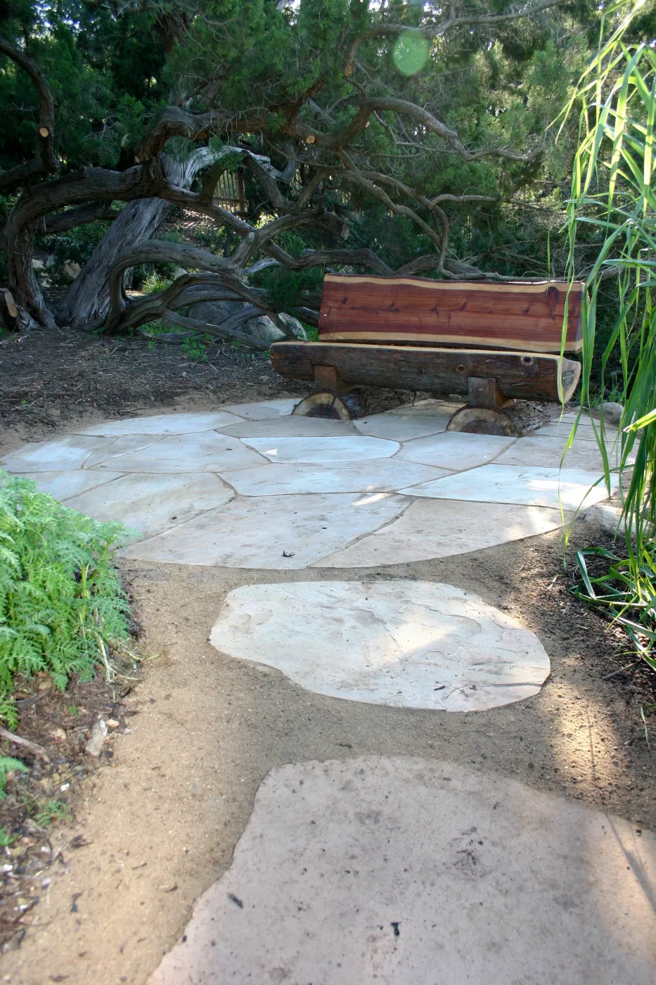 new wood log bench in the Meadow