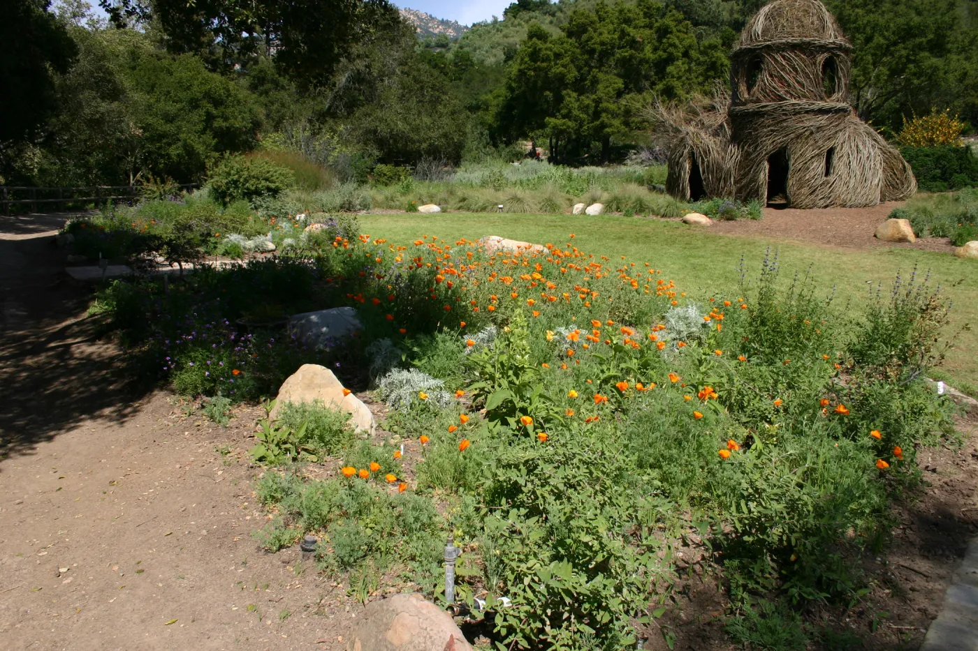 Meadow Border planting, Toad Hall, Meadow lawn