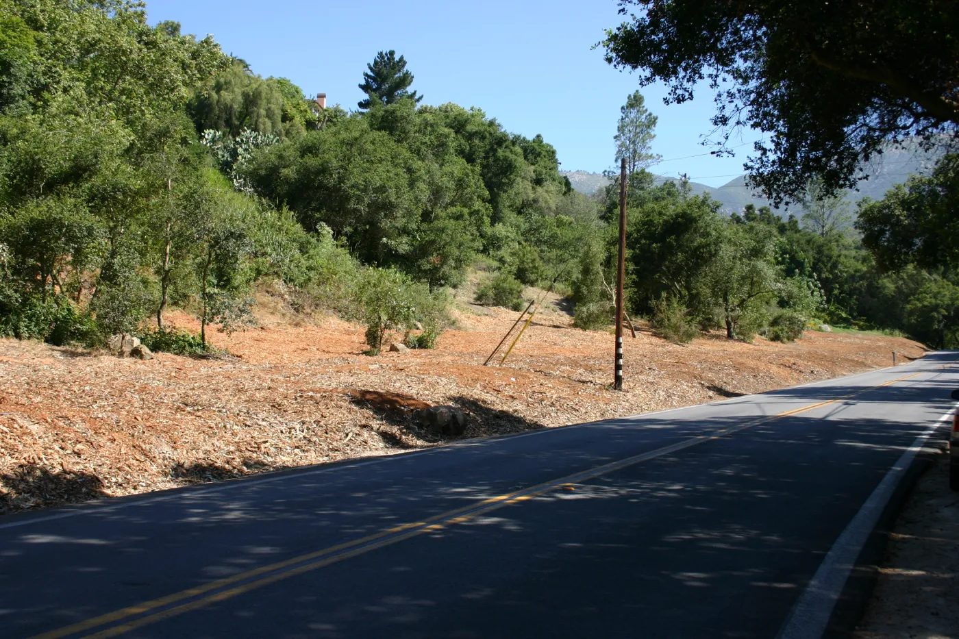 Mission Canyon Road after removal of Eucalyptus trees