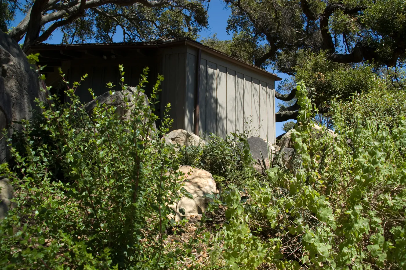 back side of Information Kiosk, SBBG 2 years after the Jesusita Fire