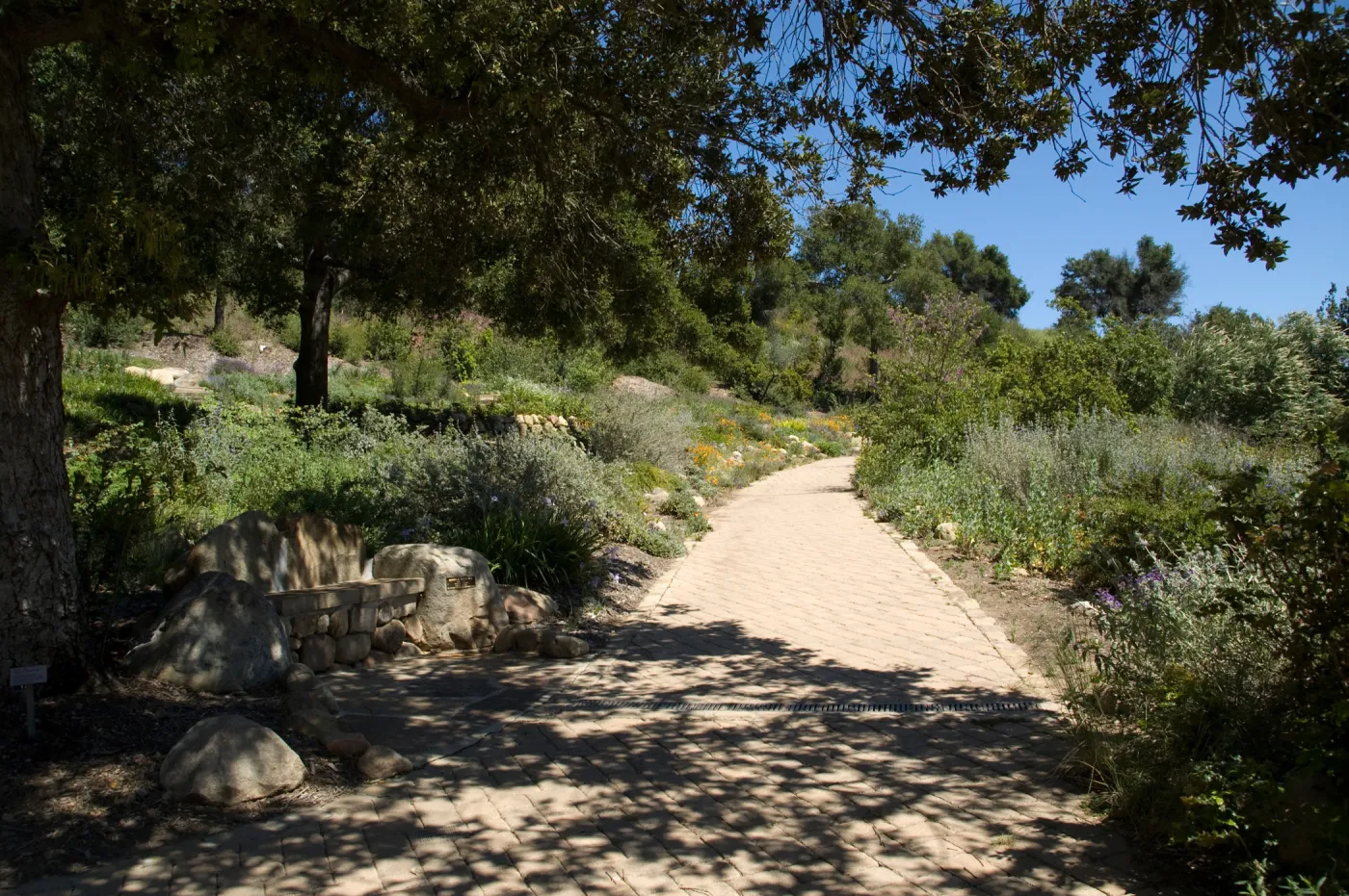 pavered path along the upper Meadow, new stone bench, SBBG 2 years after the Jesusita Fire