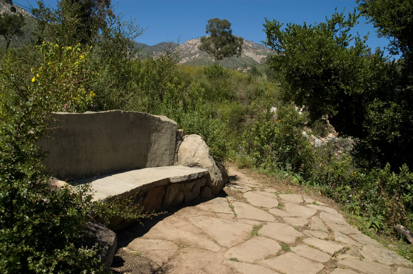 stone Pritchett Bench on the Pritcehtt Trail, SBBG 2 years after the Jesusita Fire