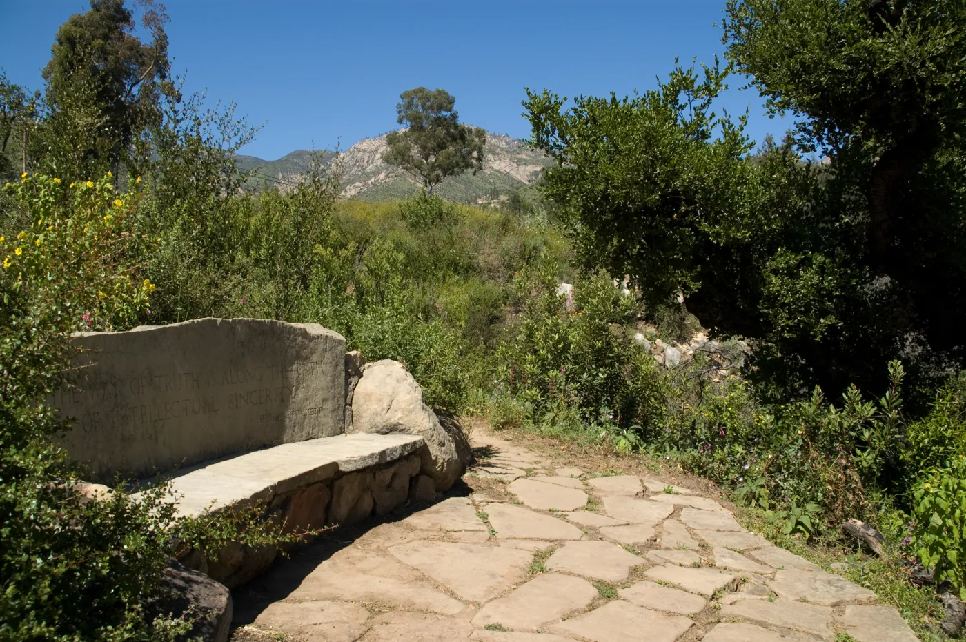 stone Pritchett Bench on the Pritcehtt Trail, SBBG 2 years after the Jesusita Fire