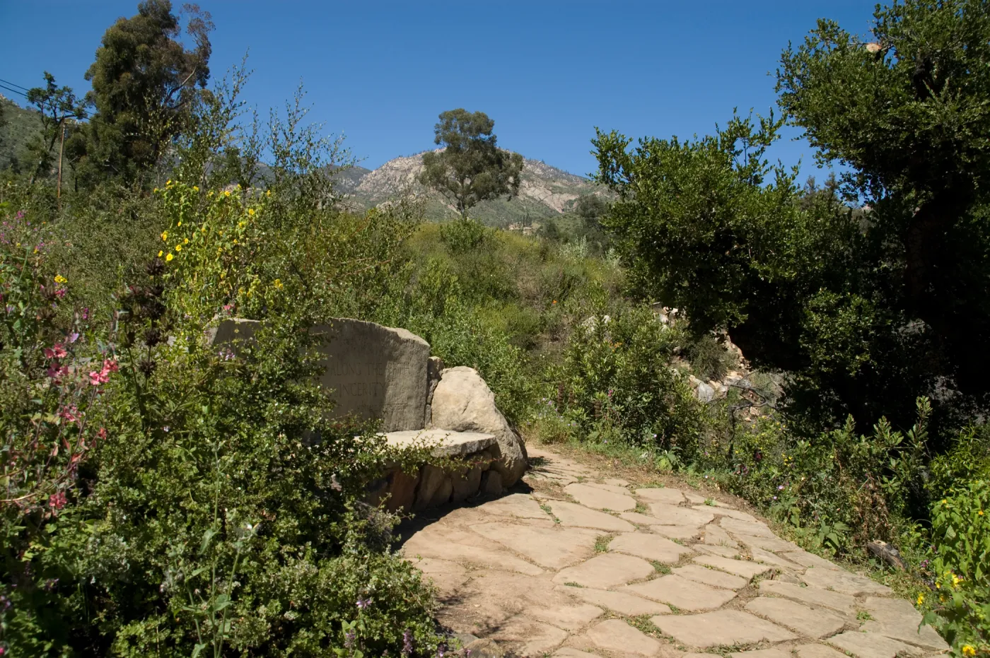 stone Pritchett Bench on the Pritcehtt Trail, SBBG 2 years after the Jesusita Fire