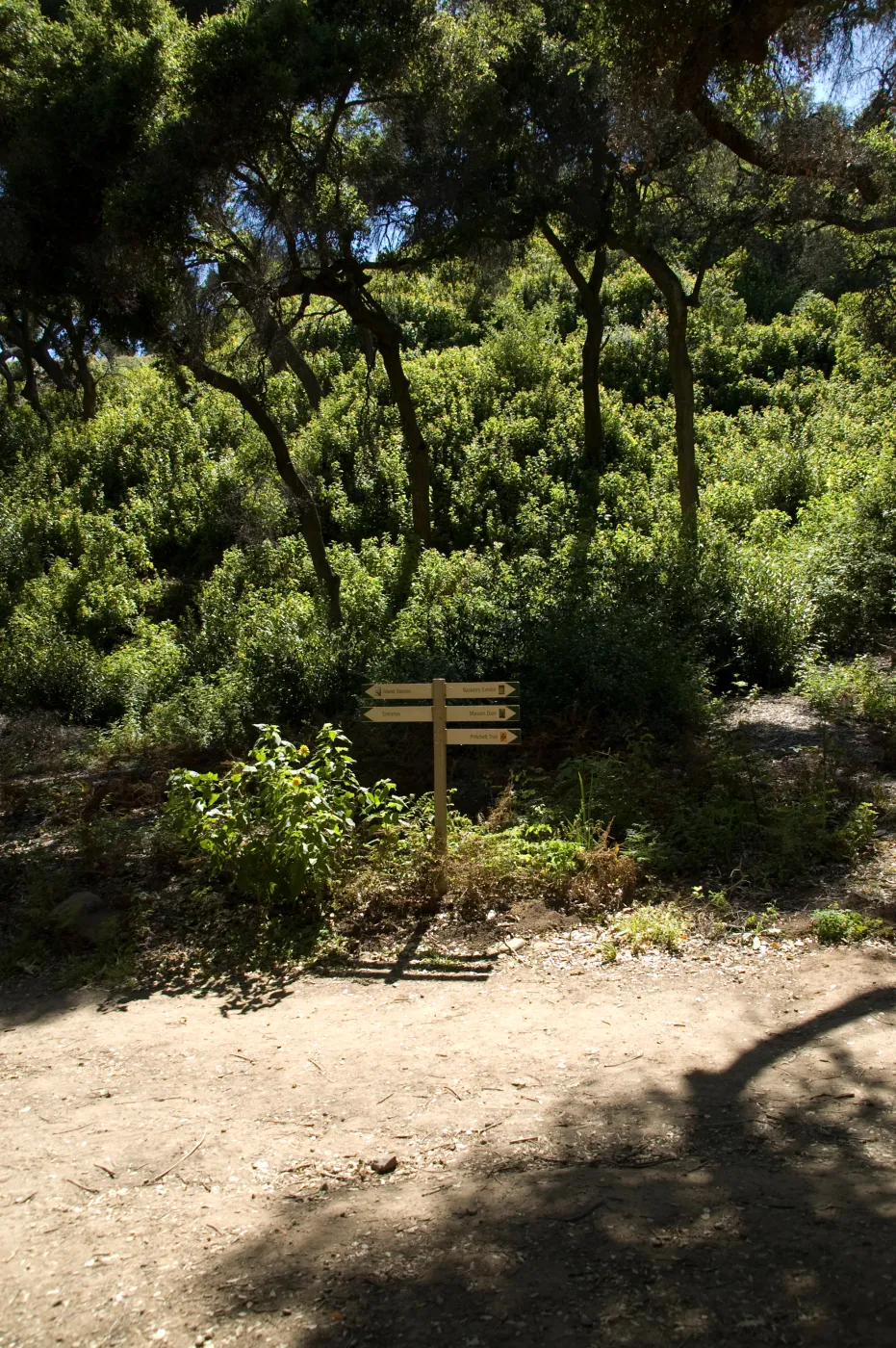 Directional sign in the Canyon, SBBG 2 years after the Jesusita Fire