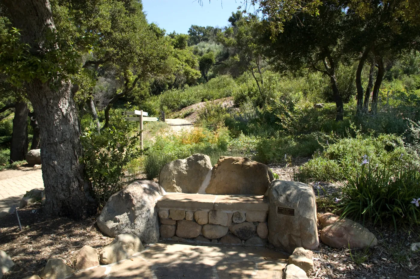 new stone bench at the top of the Meadow, Meadow View, SBBG 2 years after the Jesusita Fire