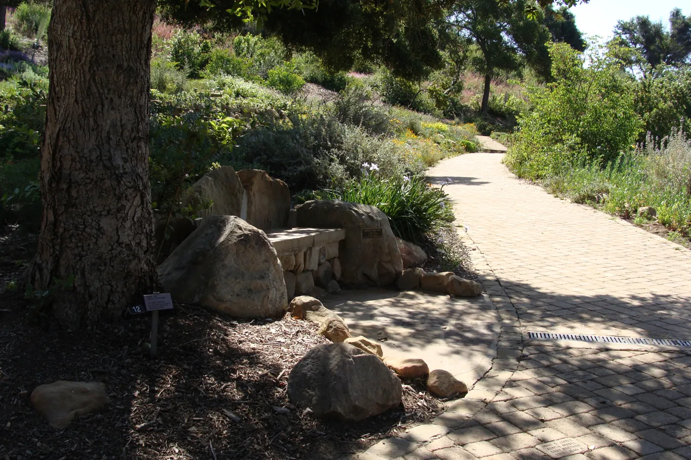 new stone bench at the top of the Meadow, Meadow View, SBBG 2 years after the Jesusita Fire