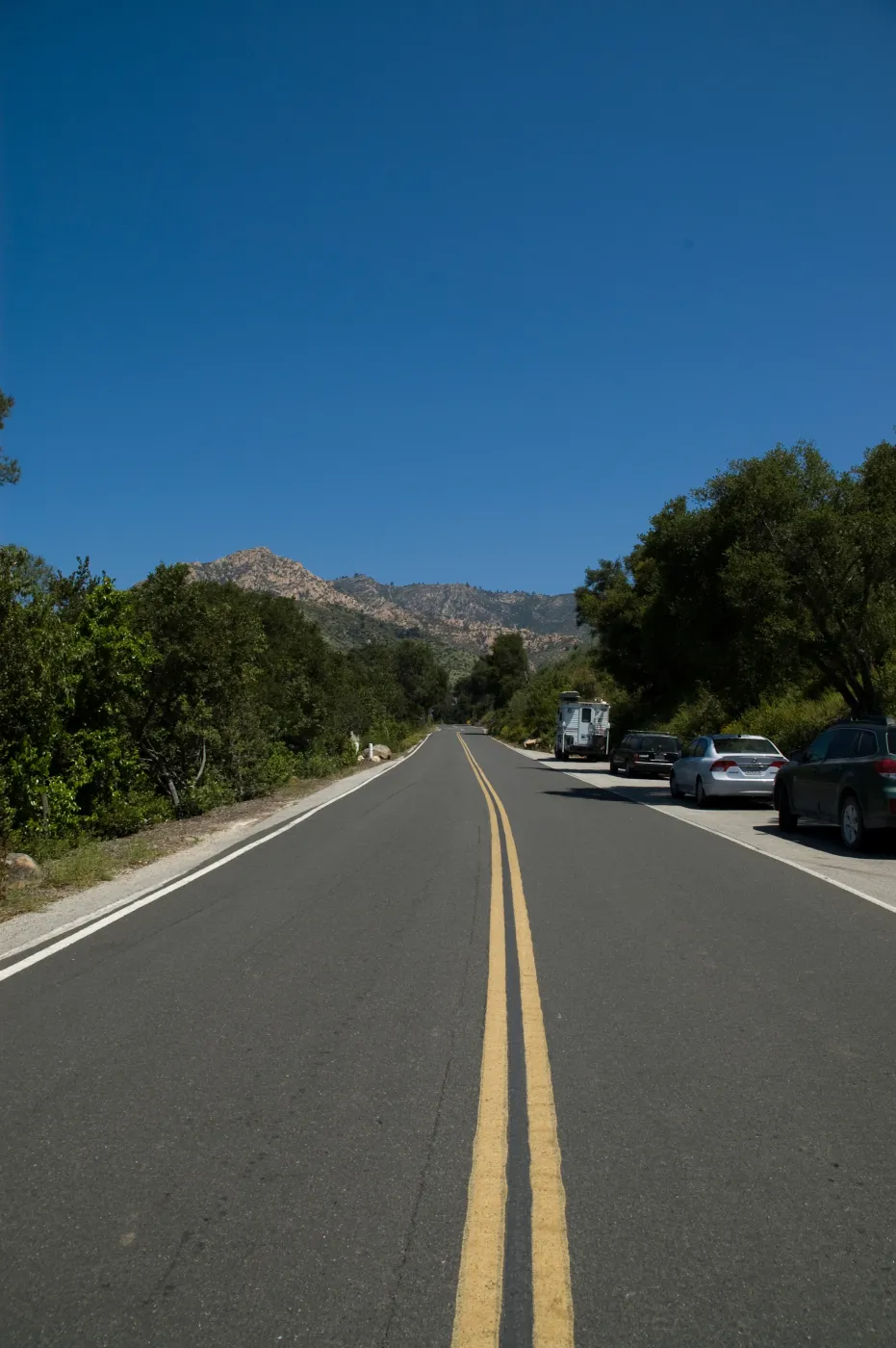 Mission Canyon Road, view to La Cumbre Peak, SBBG 2 years after the Jesusita Fire