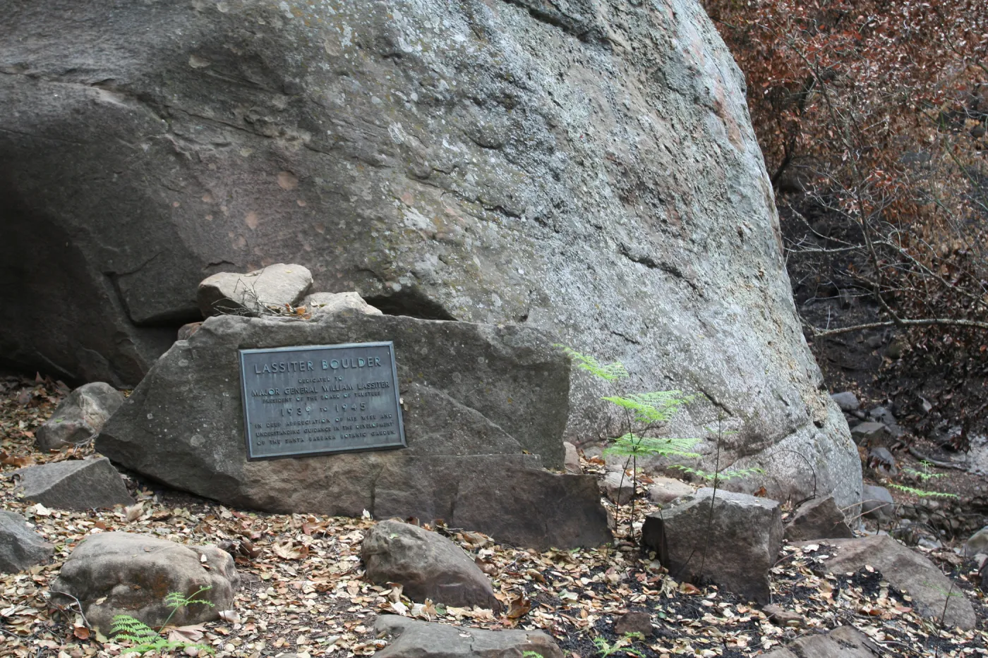 SBBG Fire Walk in the Garden, one month after Jesusita Fire