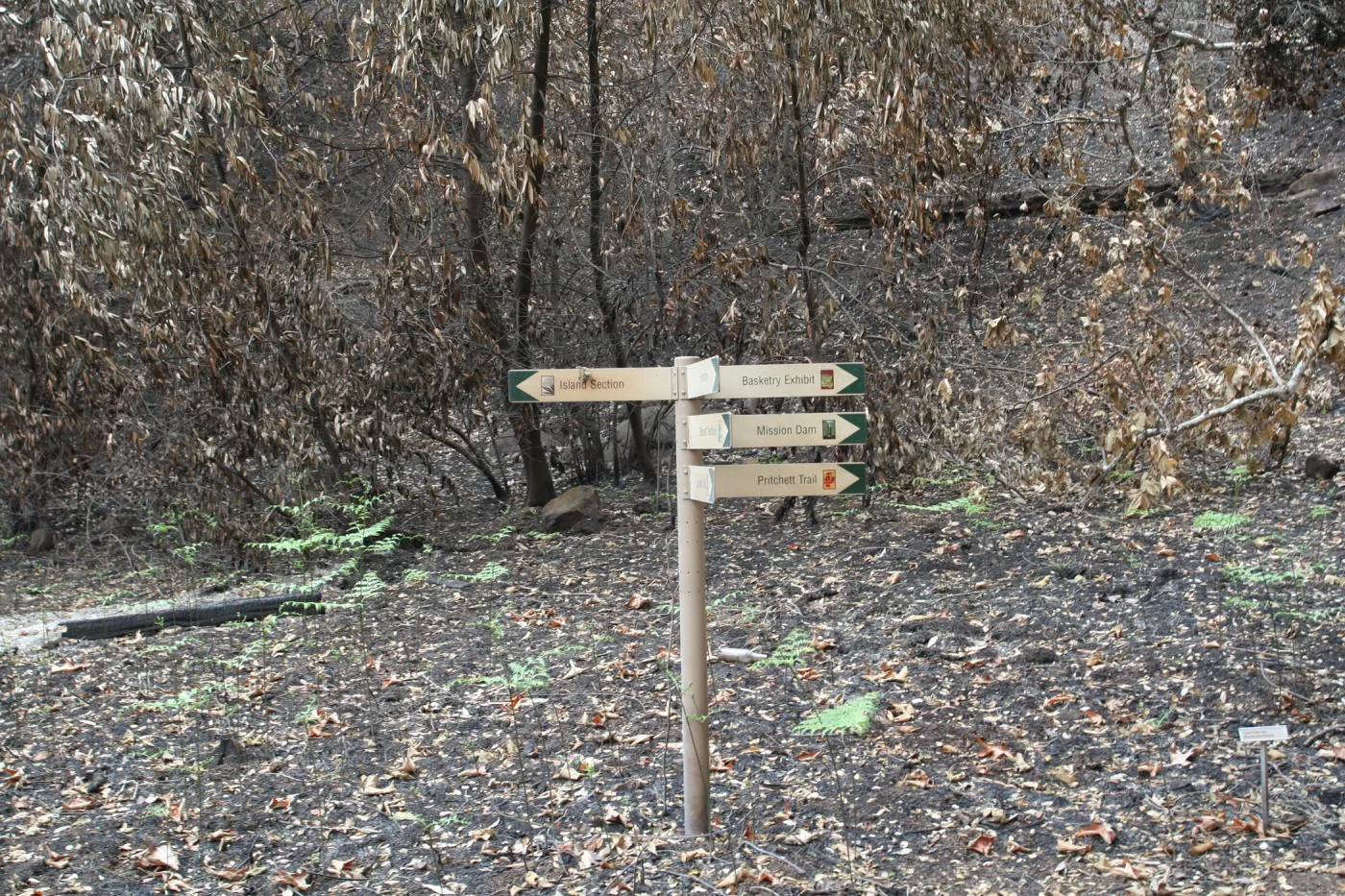 SBBG Fire Walk in the Garden, one month after Jesusita Fire, directional signage in the Canyon 