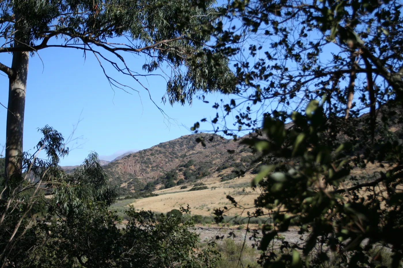 TEAWET, Santa Cruz Island field trip, 2009