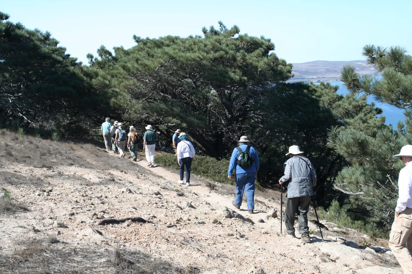 Santa Rosa Island, SBBG field trip