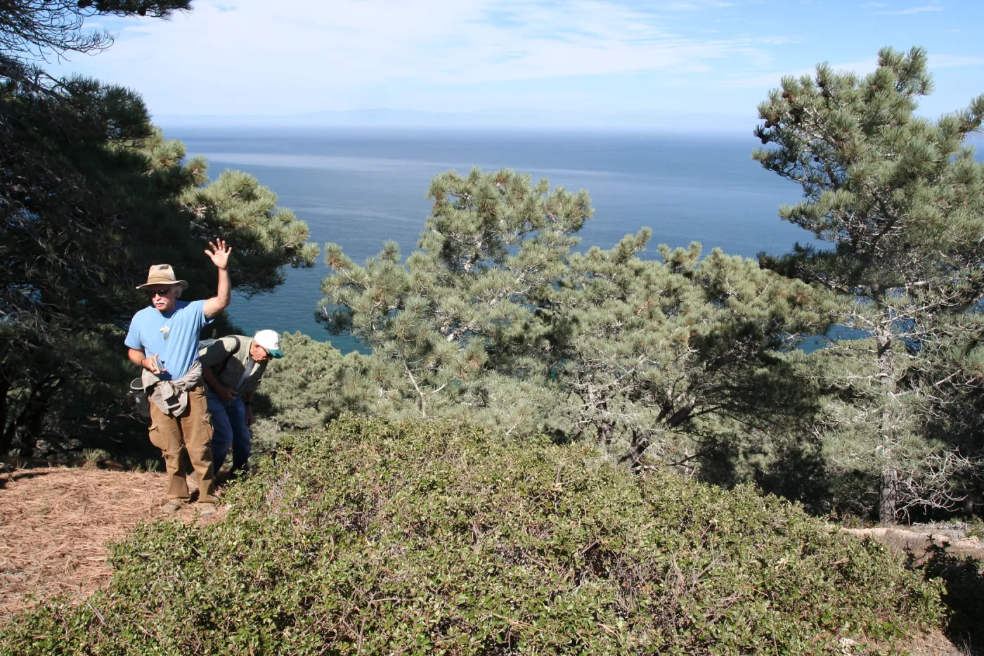 Steve Junak, Santa Rosa Island, SBBG field trip