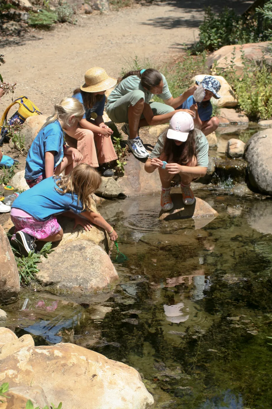 exploring life in the Pond, SBBG Summer Nature Camp, 2006