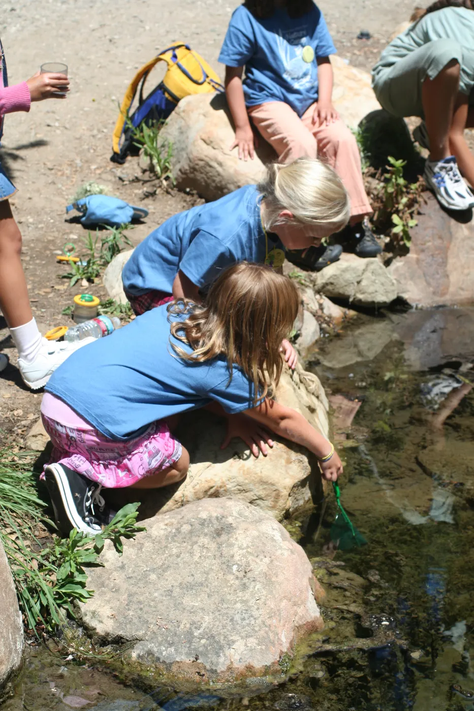 exploring life in the Pond, SBBG Summer Nature Camp, 2006