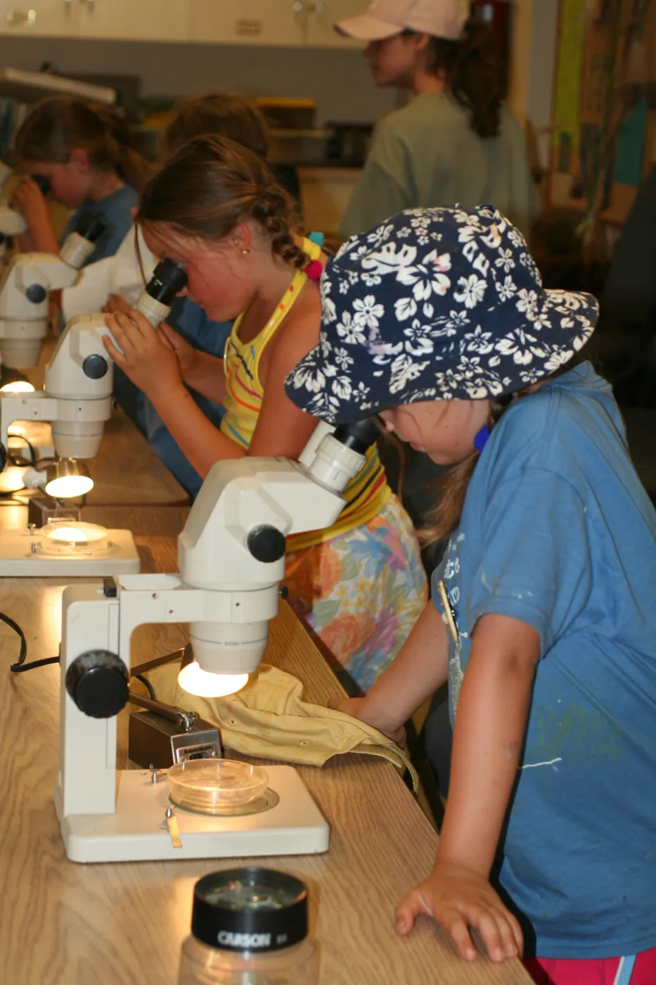using microscopes in the Arroyo Room, SBBG Summer Nature Camp, 2006