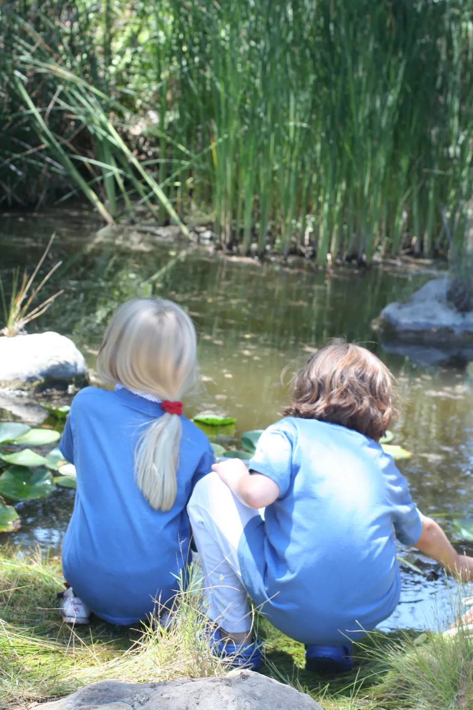 exploring life in the pond, SBBG Summer Nature Camp, 2007