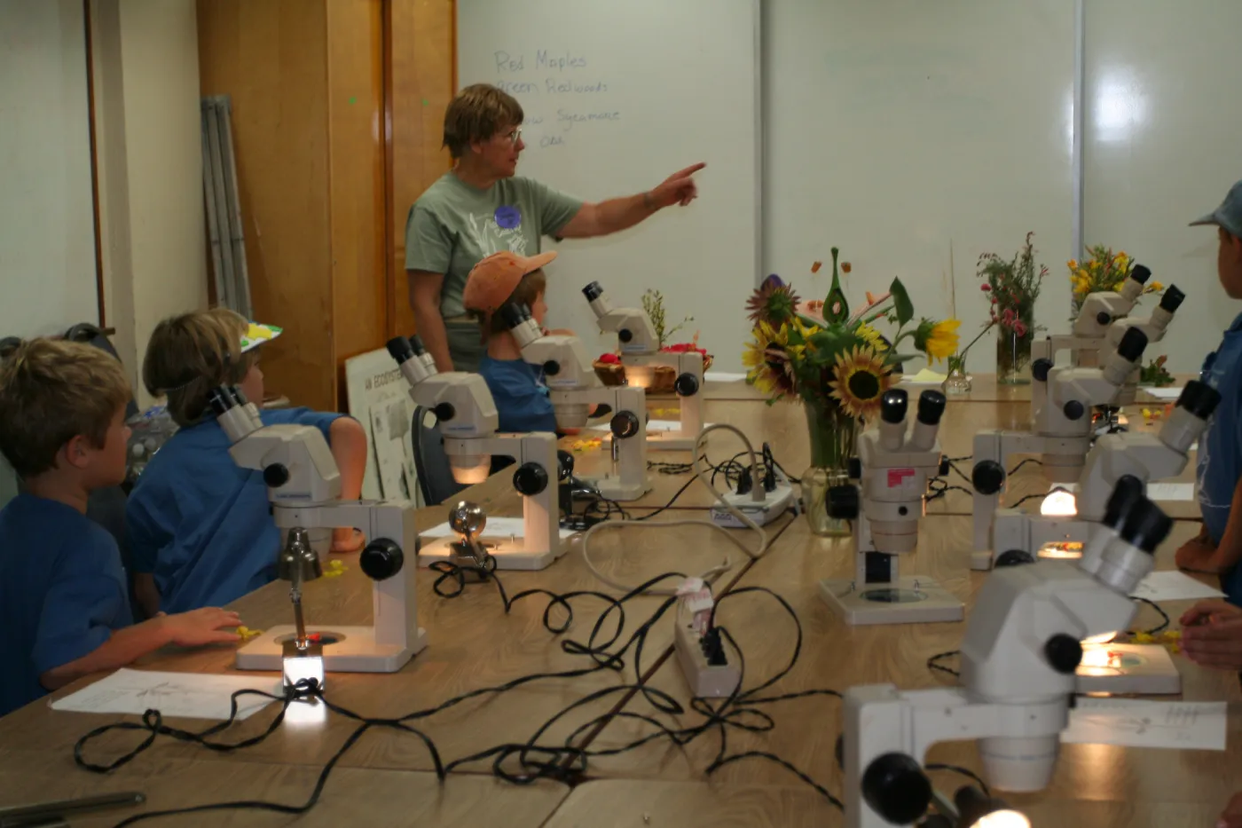 Diana teaching in the microscope lab, SBBG Summer Nature Camp, 2008