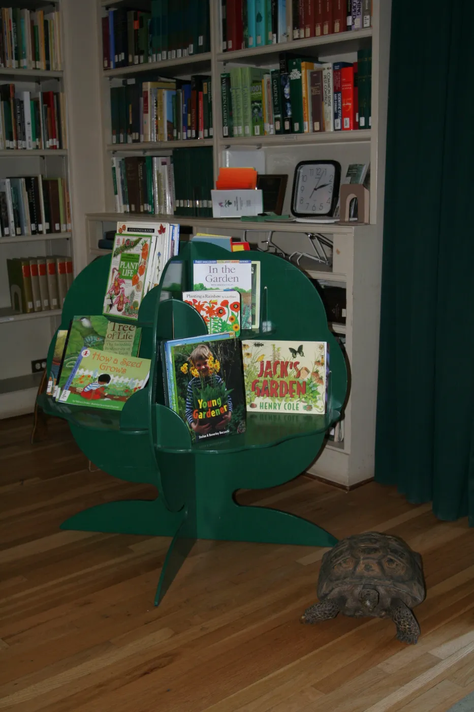 reptiles in the Blaksley Library, SBBG Summer Nature Camp, 2009