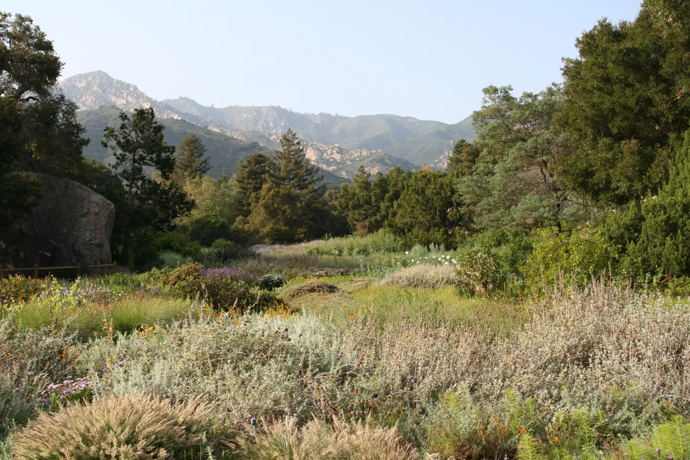 SBBG Meadow view to the Santa Ynez Mountains
