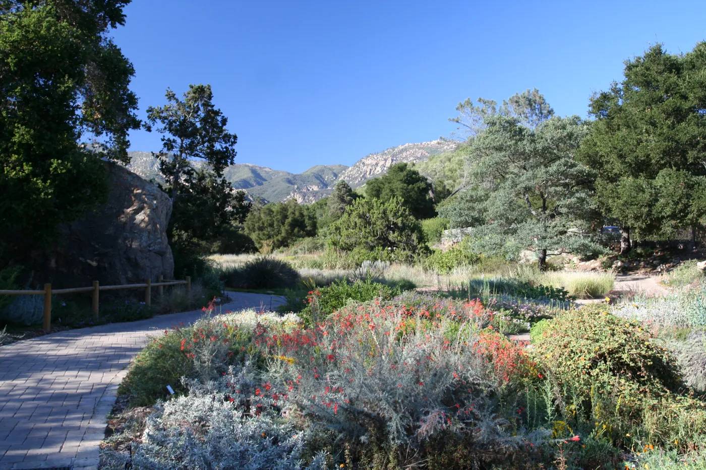 SBBG Meadow view to the Santa Ynez Mountains