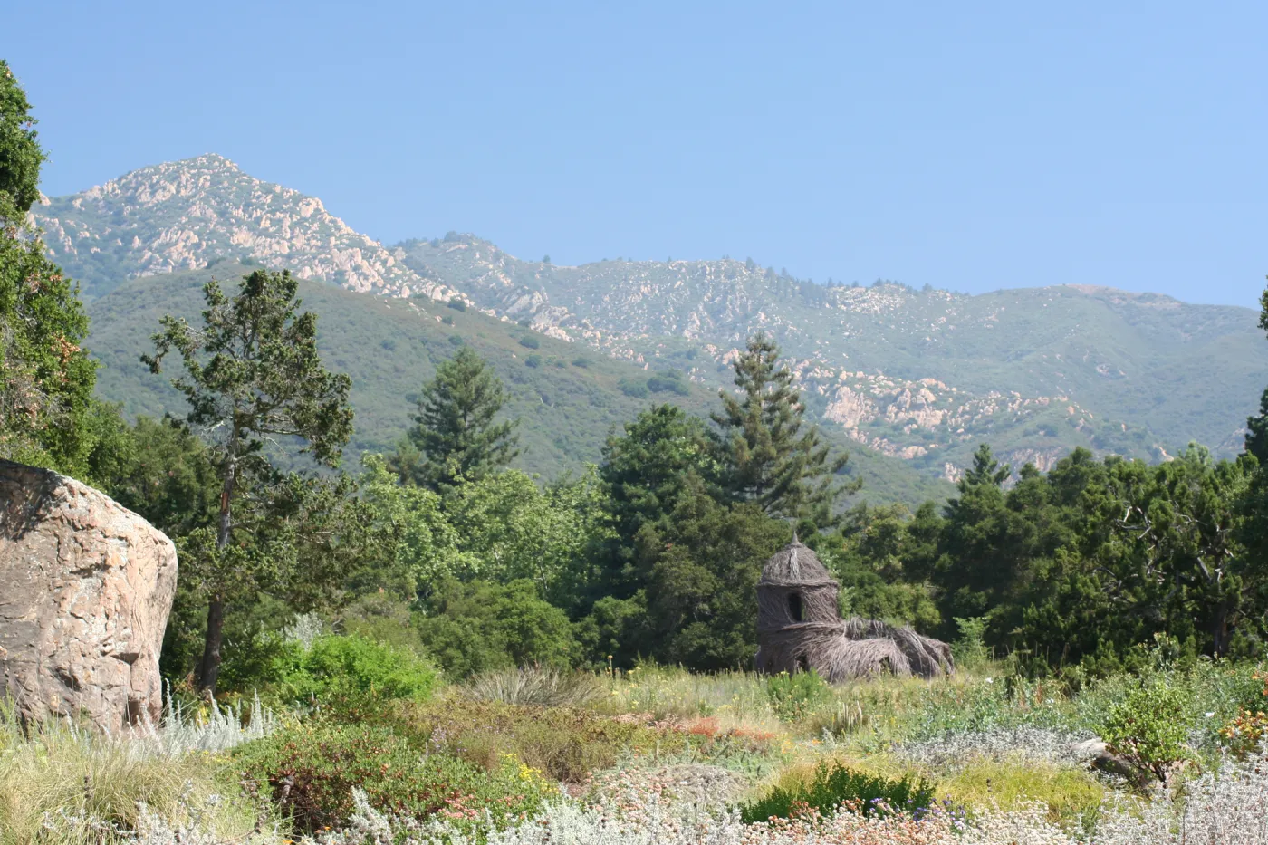 SBBG Meadow view to the Santa Ynez Mountains