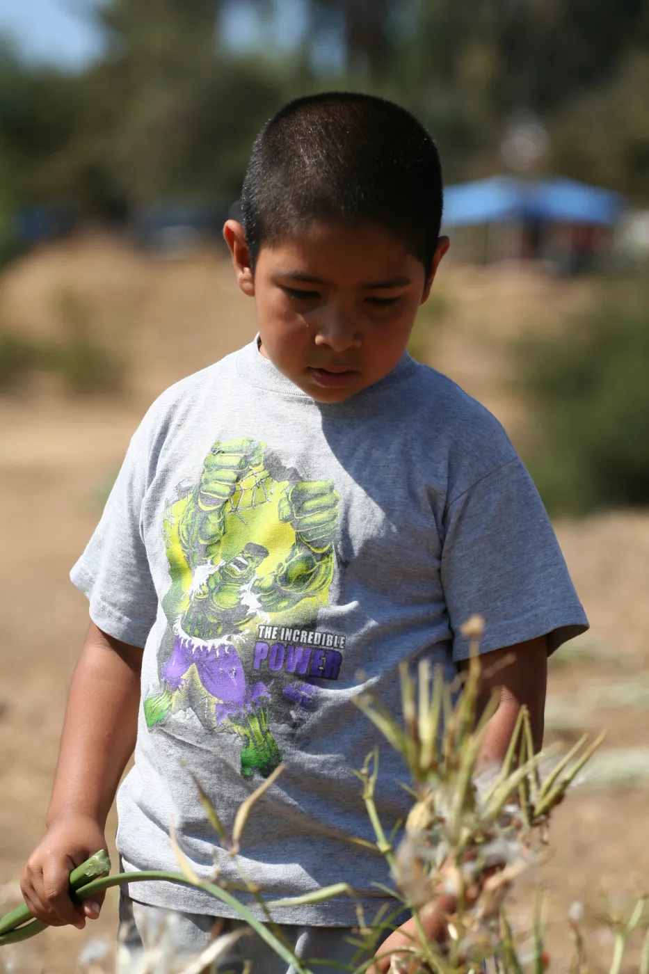 plant walk, Lake Casitas, SBBG education tours, 2005-2006
