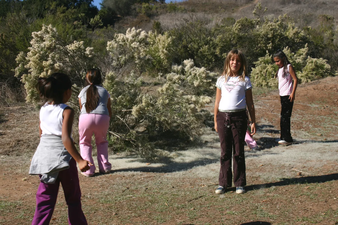 plant walk, Lake Casitas, SBBG education tours, 2005-2006