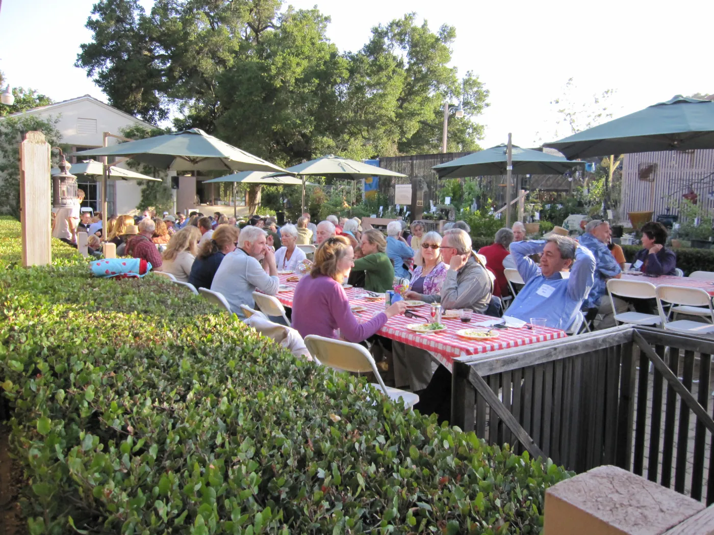 picnic tables in the Courtyard, SBBG Members Picnic, 2011