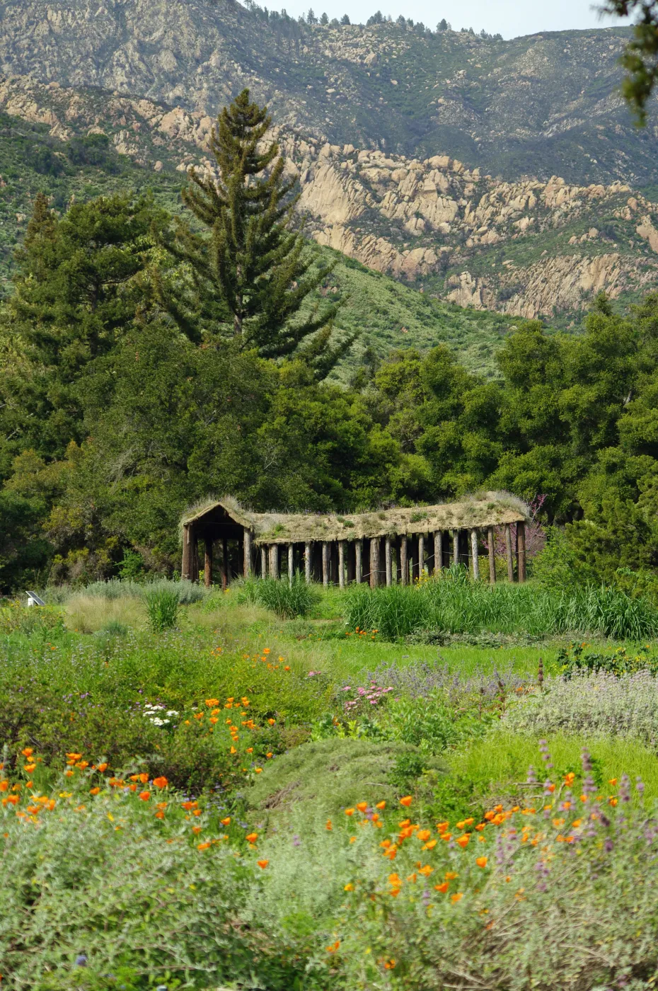 Herb Parker sculpture in the Meadow, Santa Barbara Botanic Garden, March 2011, © Gary Margeson
