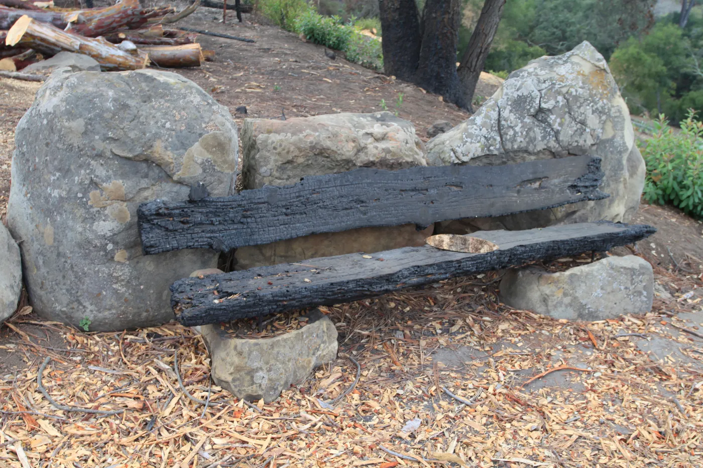 burned Mr. and Mrs. William Stratton Porter Bench (bench #64) on the Porter Trail, Art from Ashes event, SBBG