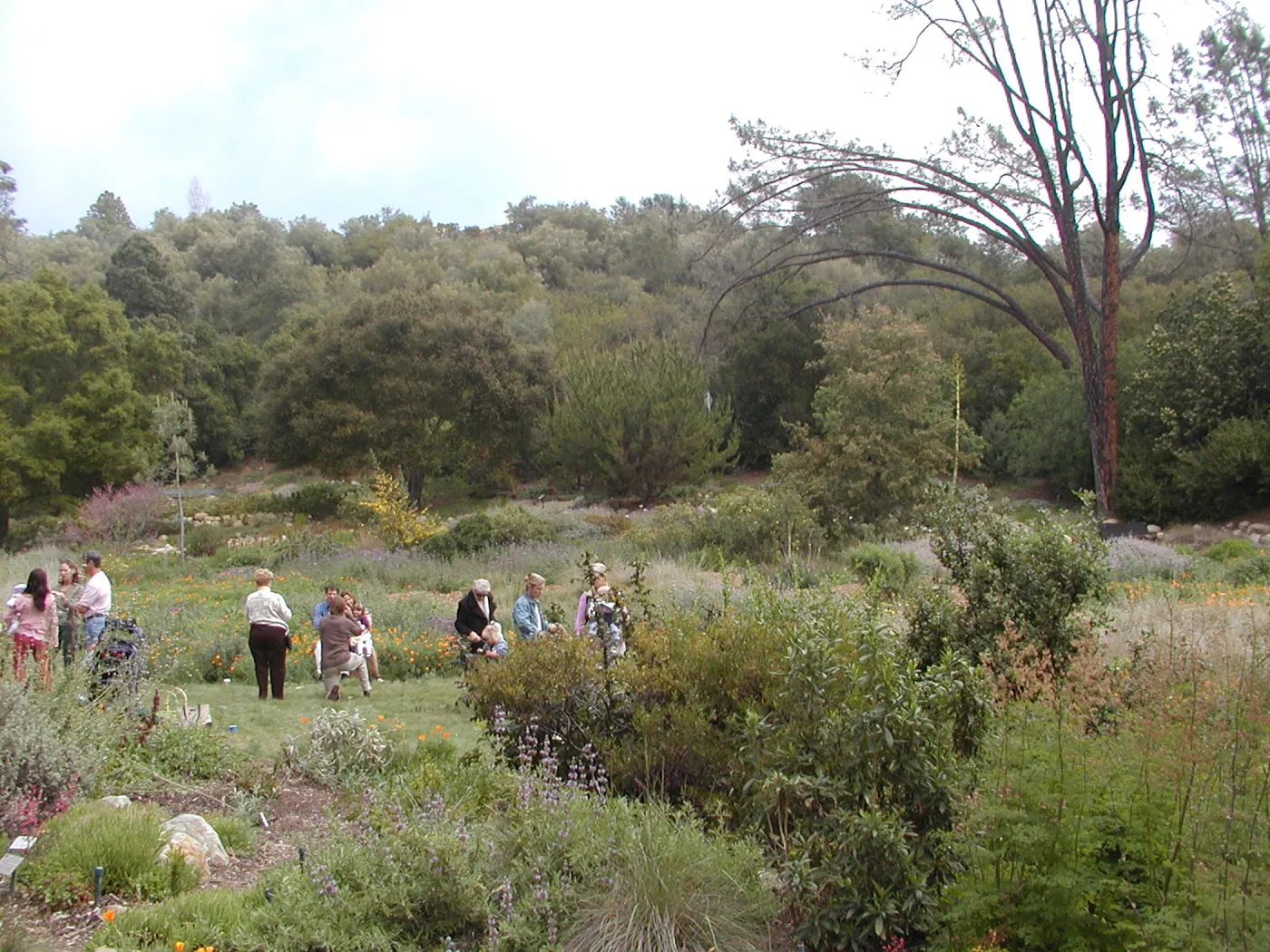 SBBG Egg Hunt, 2002
