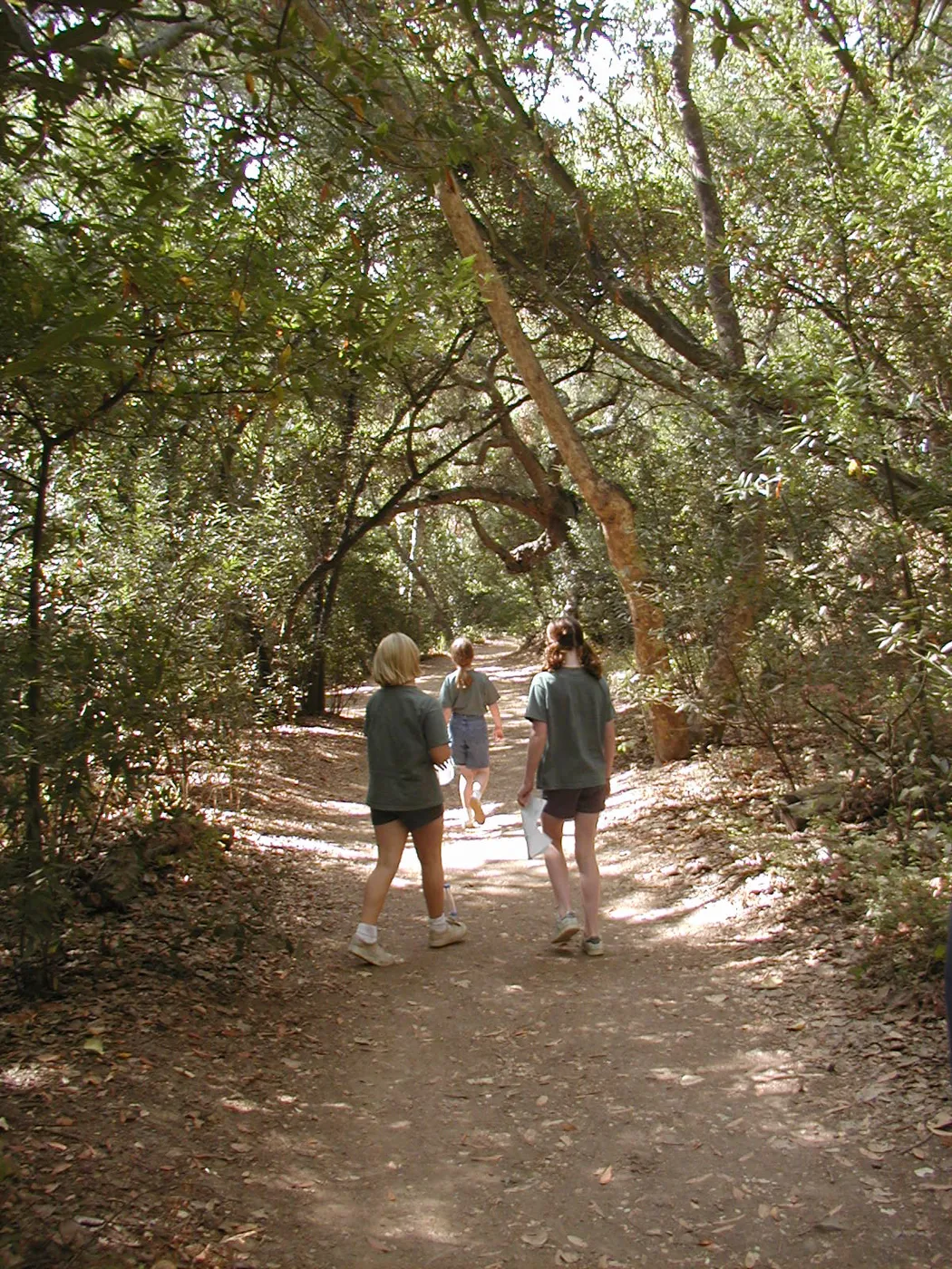walking on the Canyon Trail, Mission Canyon, kids, SBBG Summer Nature Camp, 2002