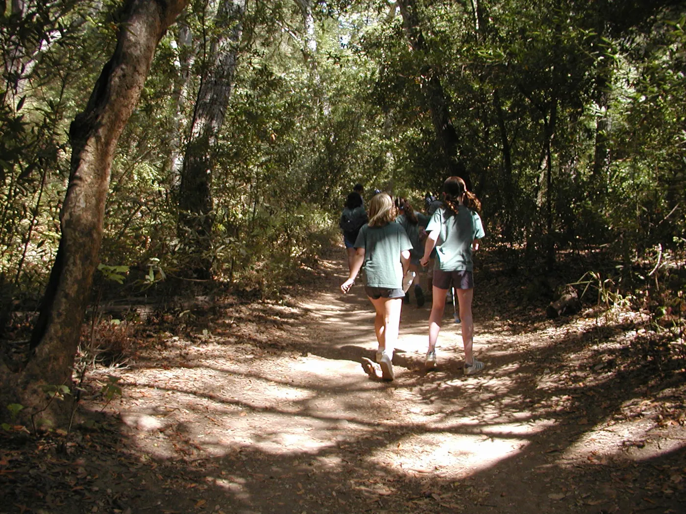 walking on the Canyon Trail, Mission Canyon, kids, SBBG Summer Nature Camp, 2002