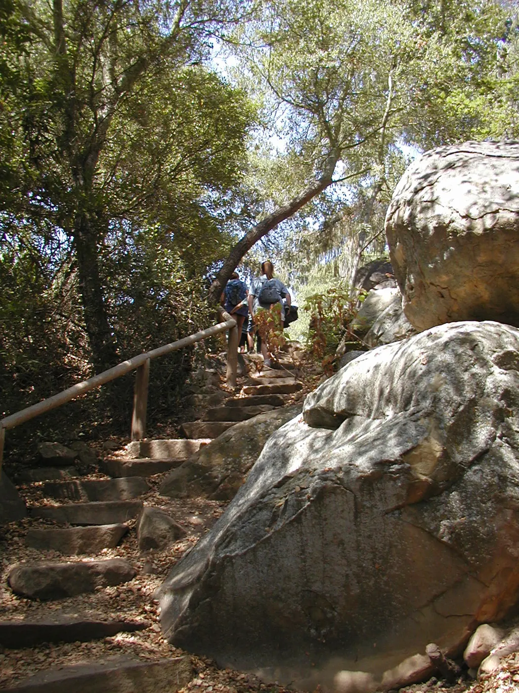 Canyon staircase, SBBG Summer Nature Camp, 2002