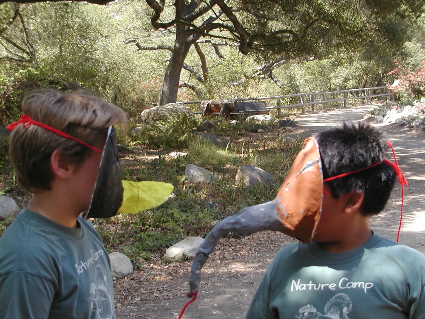 painted animal masks, SBBG Summer Nature Camp, 2002