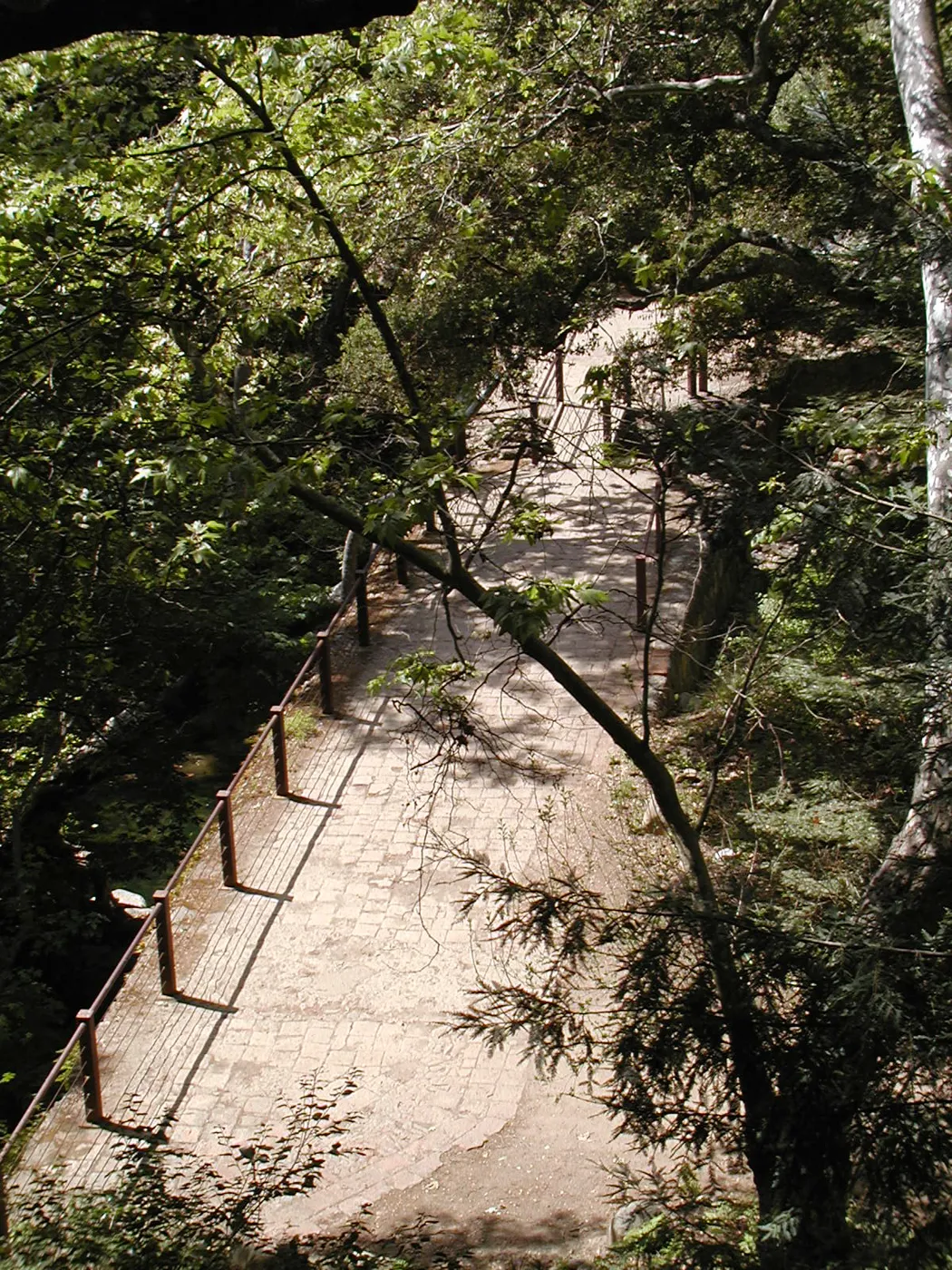 view from Canyon rim down to the top of the Mission Dam, SBBG