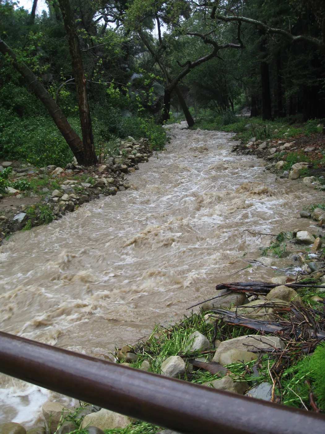 High water in Mission Creek above dam