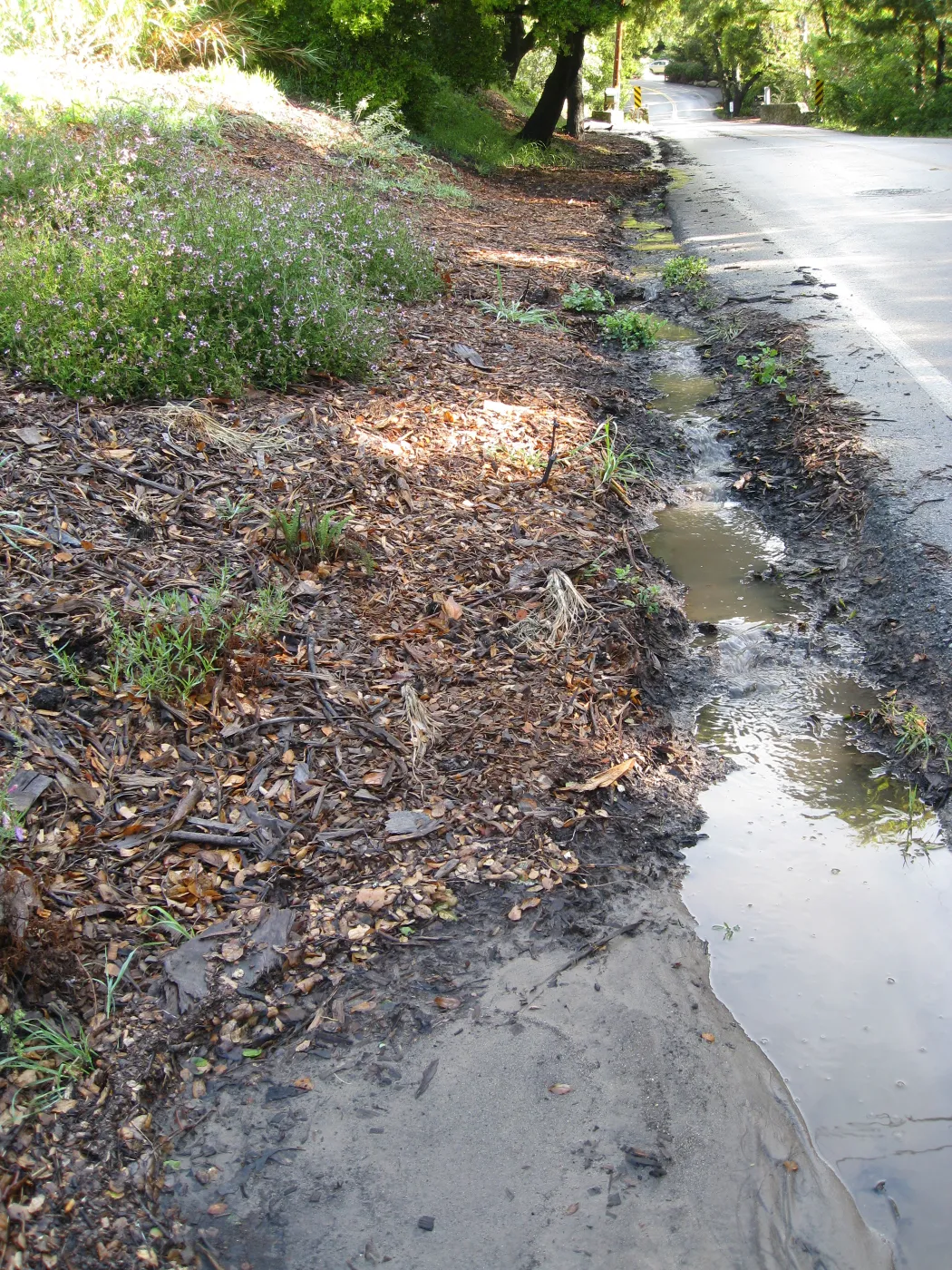 Erosion caused by heavy rain in the Tunnel Triangle