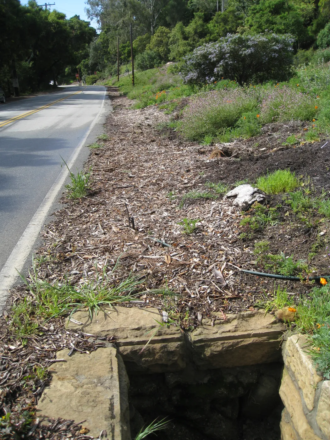 Tunnel Triangle south of drain box