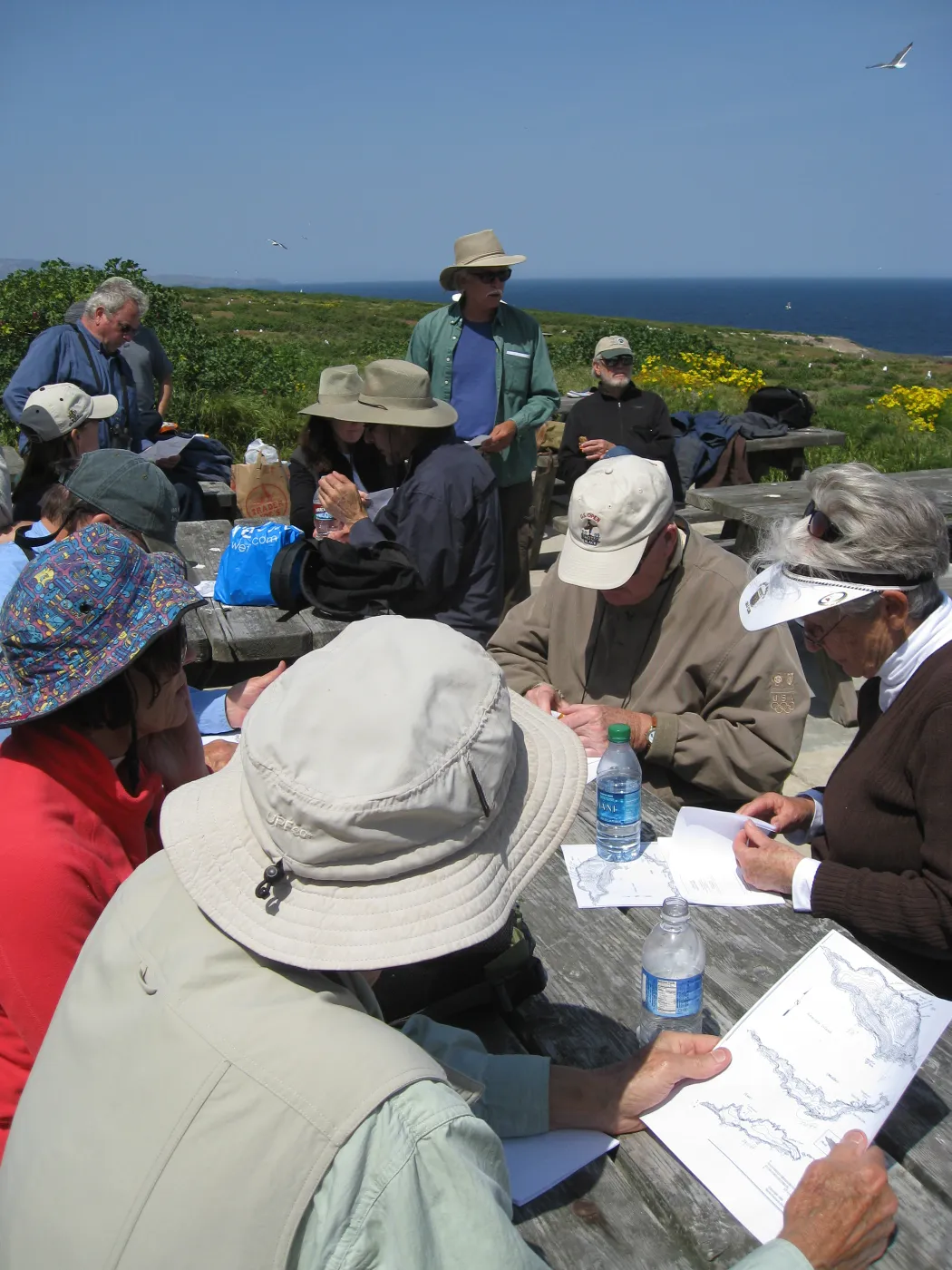 Anacapa Island, Garden trip led by Steve Junak