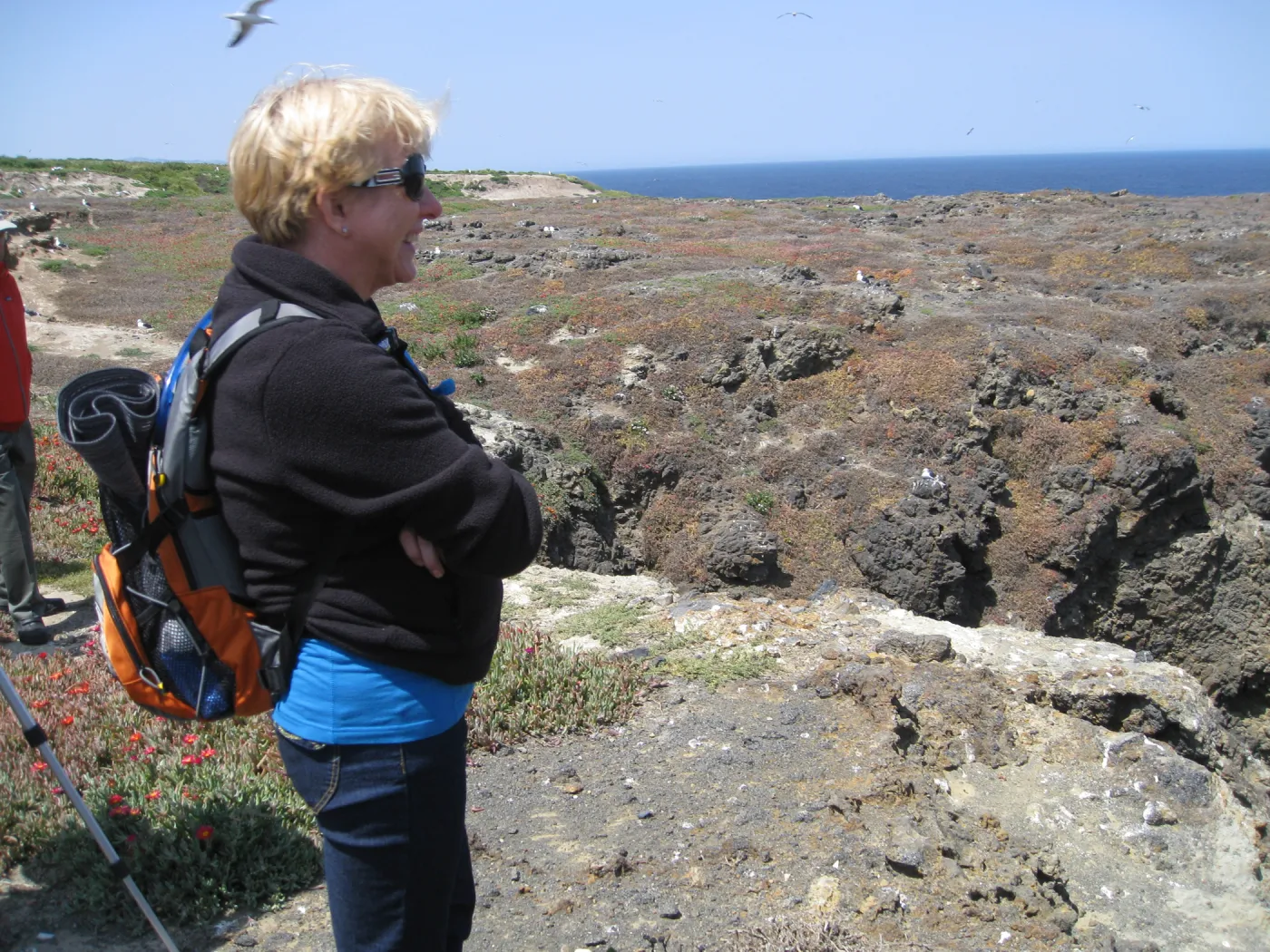 Anacapa Island, Pamme Windhager