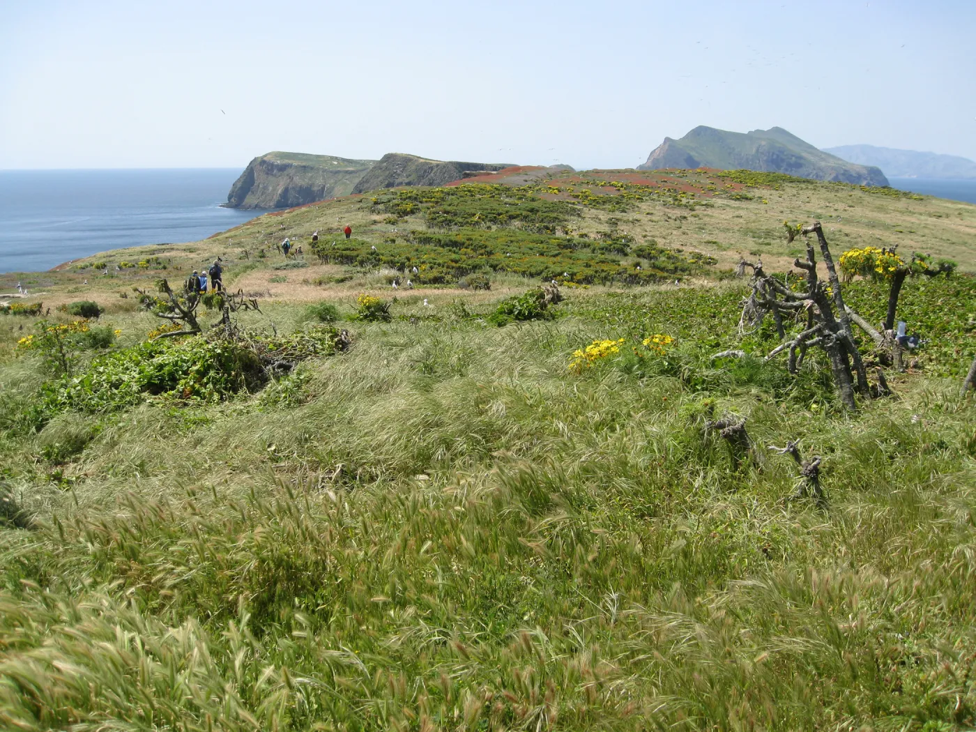 Anacapa Island