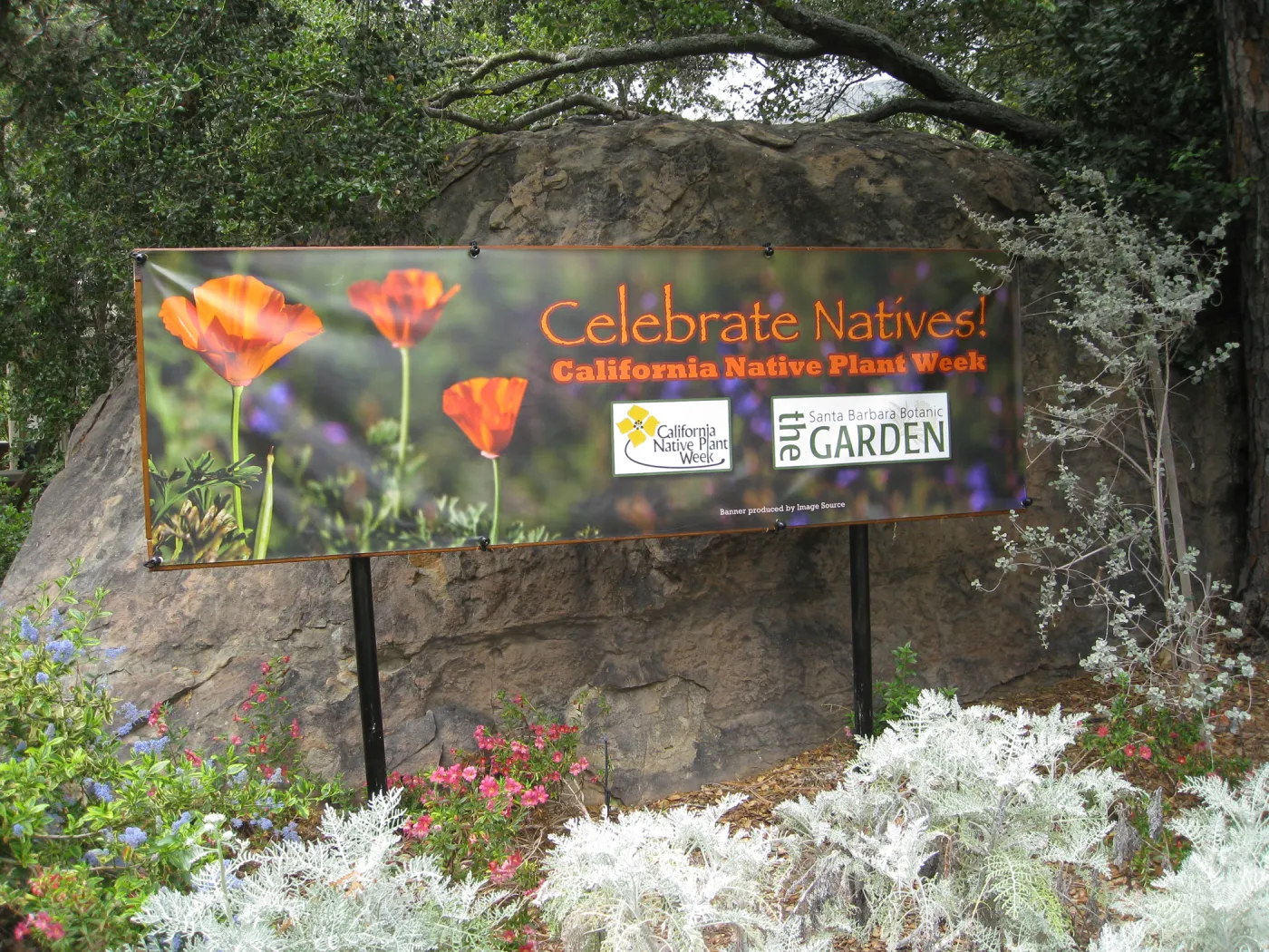 Native Plant Week sign