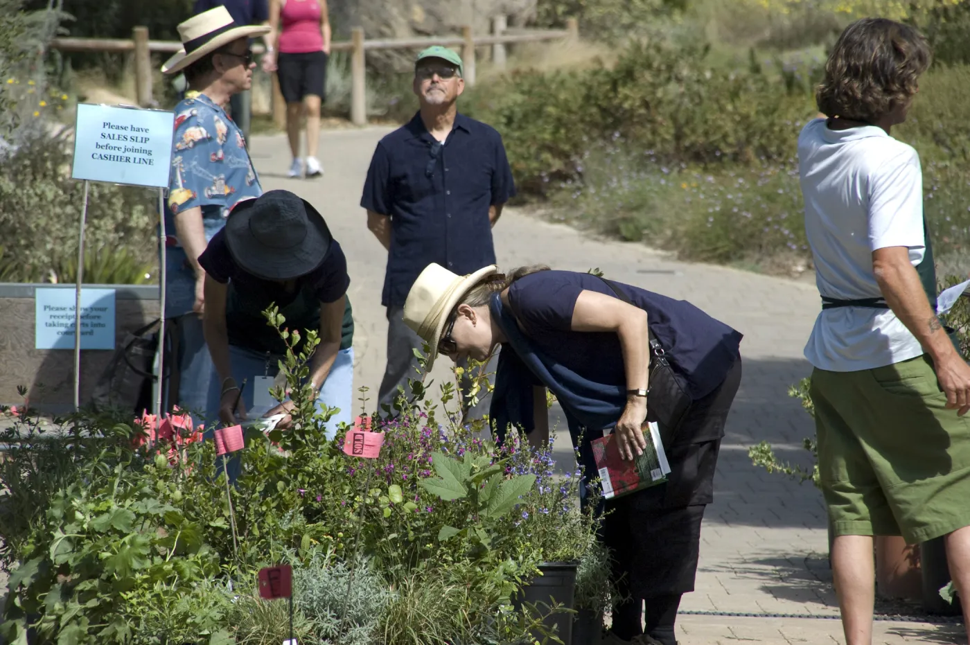 Courtyard, SBBG Fall Plant Sale, 2010