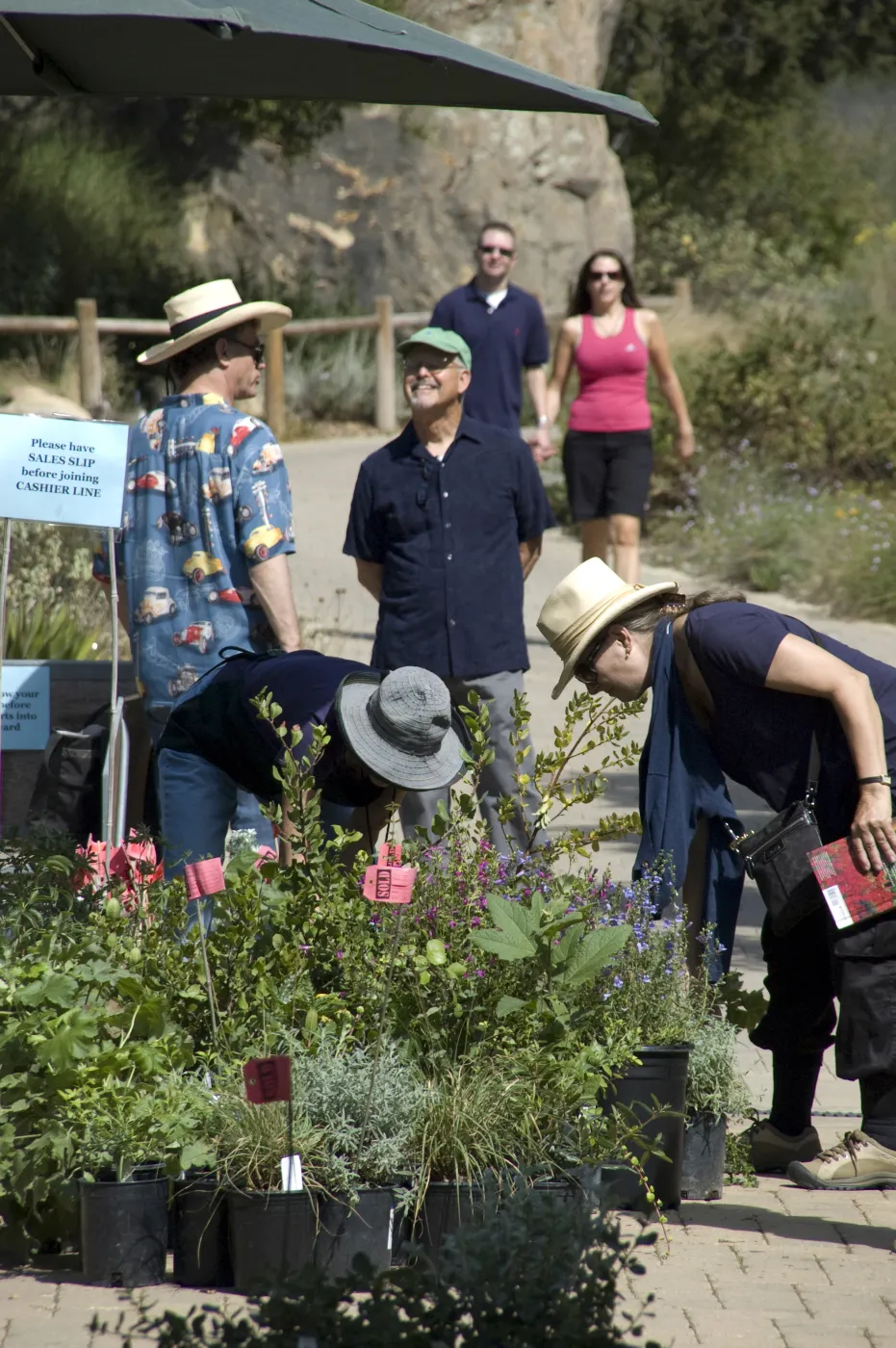 Courtyard, SBBG Fall Plant Sale, 2010