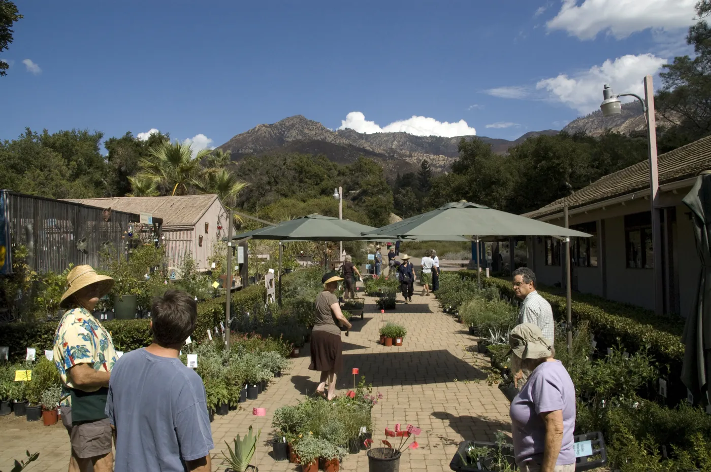 Courtyard, Garden Growers Nursery, SBBG Fall Plant Sale, 2010