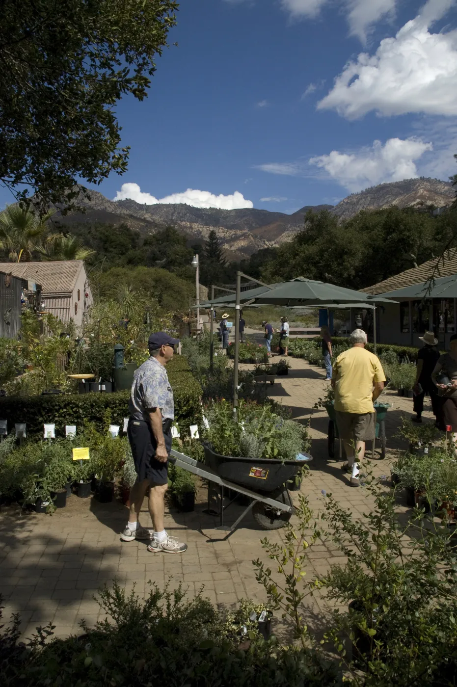 Courtyard, Garden Growers Nursery, SBBG Fall Plant Sale, 2010