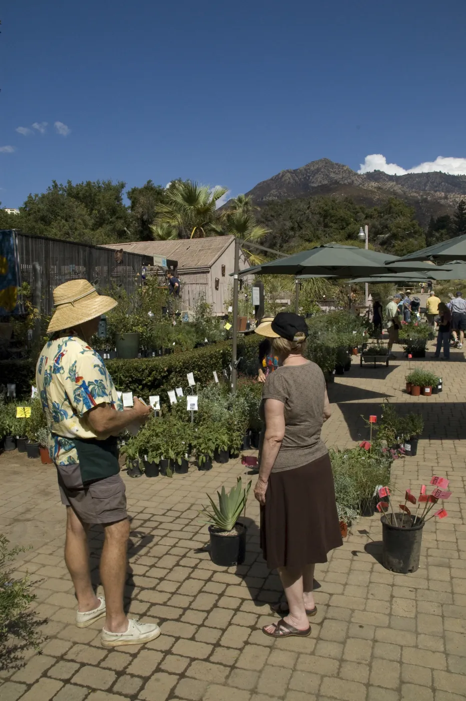Courtyard, Garden Growers Nursery, SBBG Fall Plant Sale, 2010